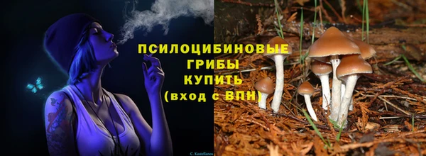 марки lsd Новодвинск