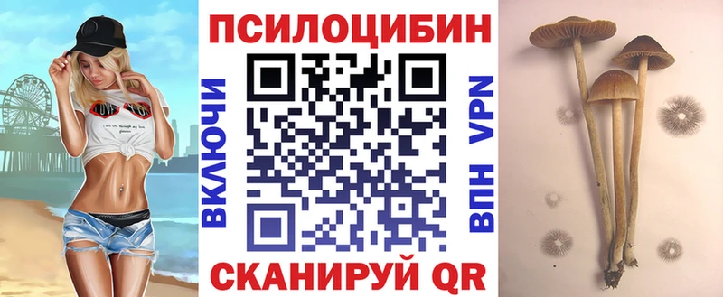 купить  цена  Киров  ОМГ ОМГ онион  Галлюциногенные грибы Magic Shrooms 