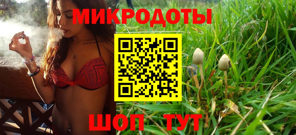Галлюциногенные грибы мухоморы  Вход с VPN  наркошоп  Киров  Псилоцибиновые грибы прущие грибы 